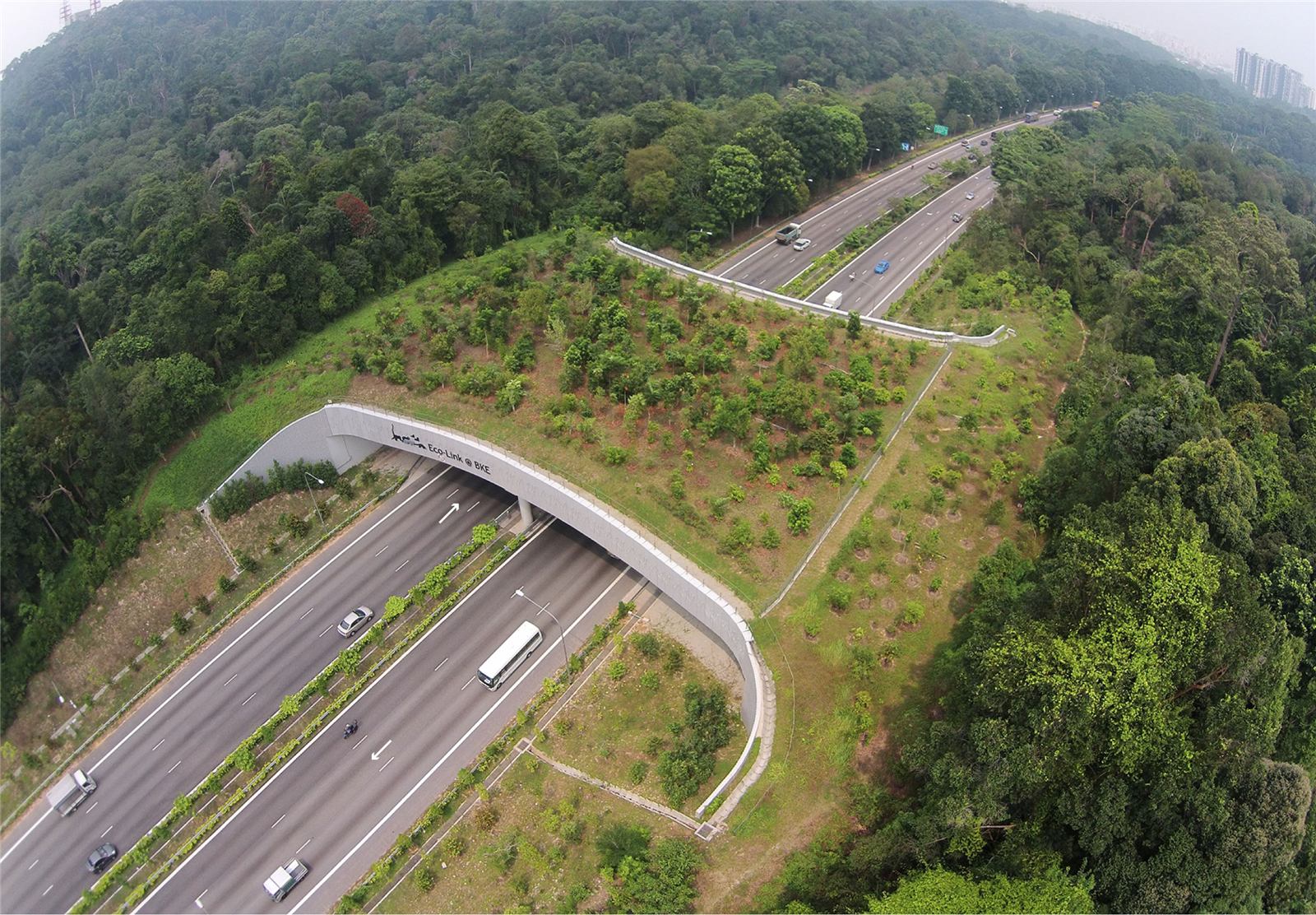 Analysis board of the Eco-Link wildlife bridge over the Bukit Timah Expressway