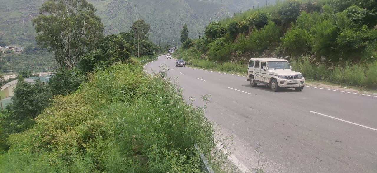 Charging the Himalaya, image 6