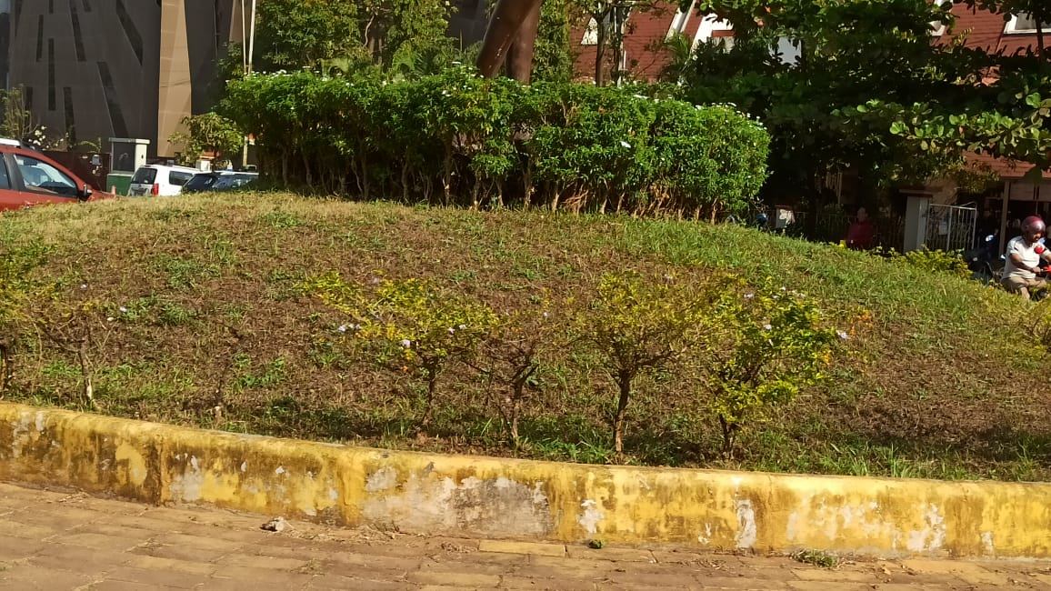 Medians, lanes and benches, image 1