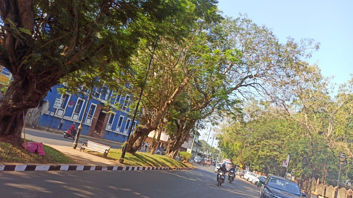Medians, lanes and benches, image 3