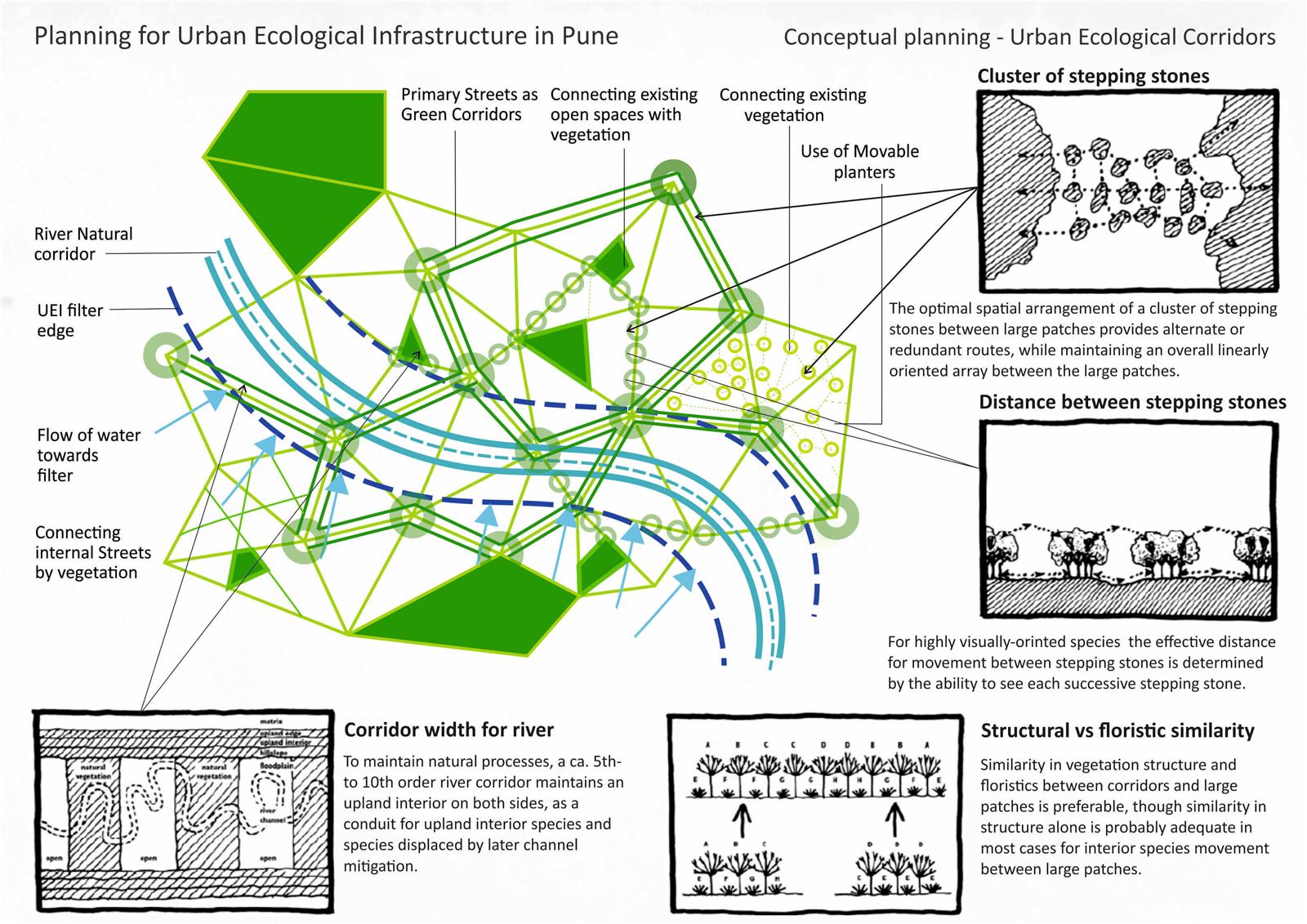 Urban ecological infrastructure, image 10