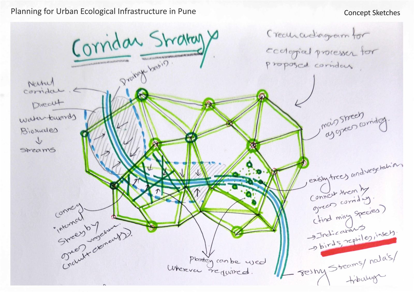 Urban ecological infrastructure, image 12