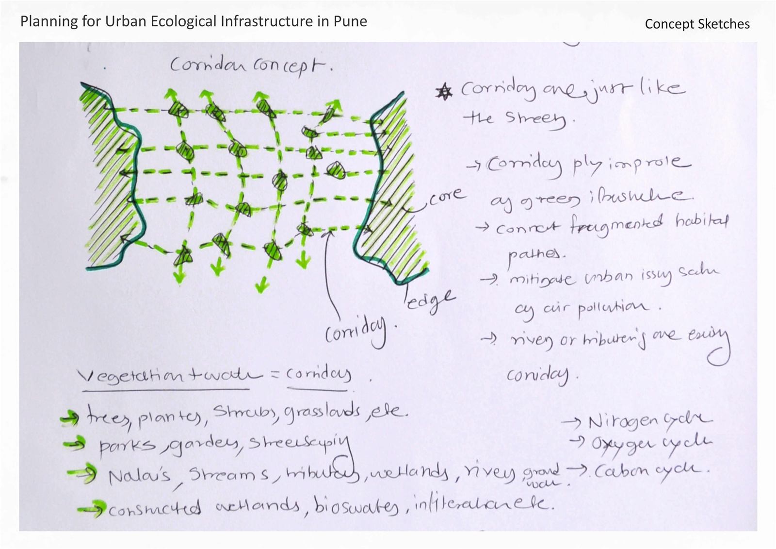 Urban ecological infrastructure, image 13