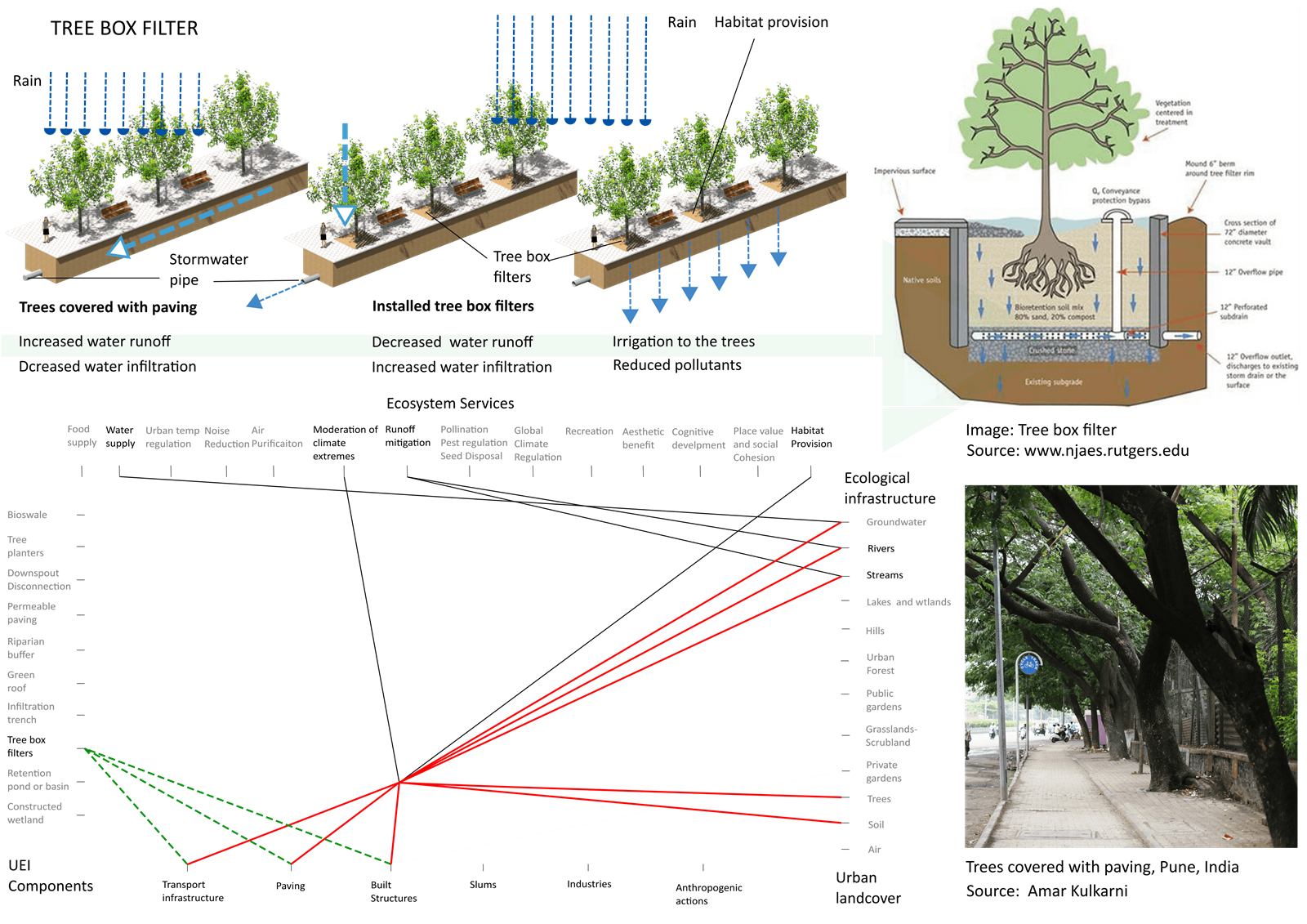 Urban ecological infrastructure, image 17