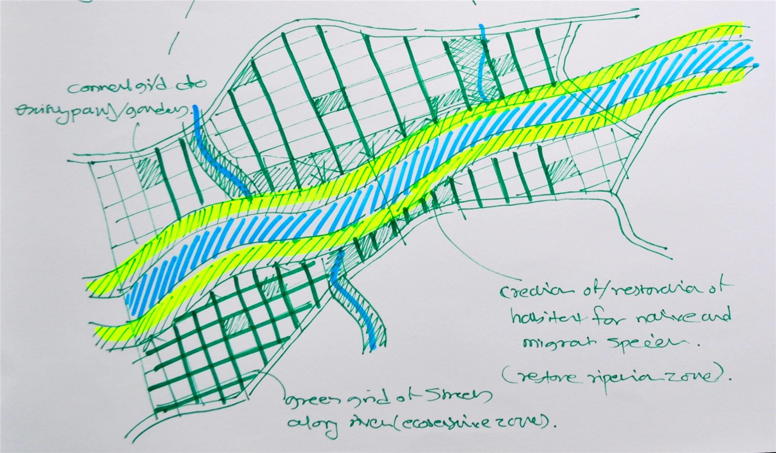 Urban ecological infrastructure, image 18