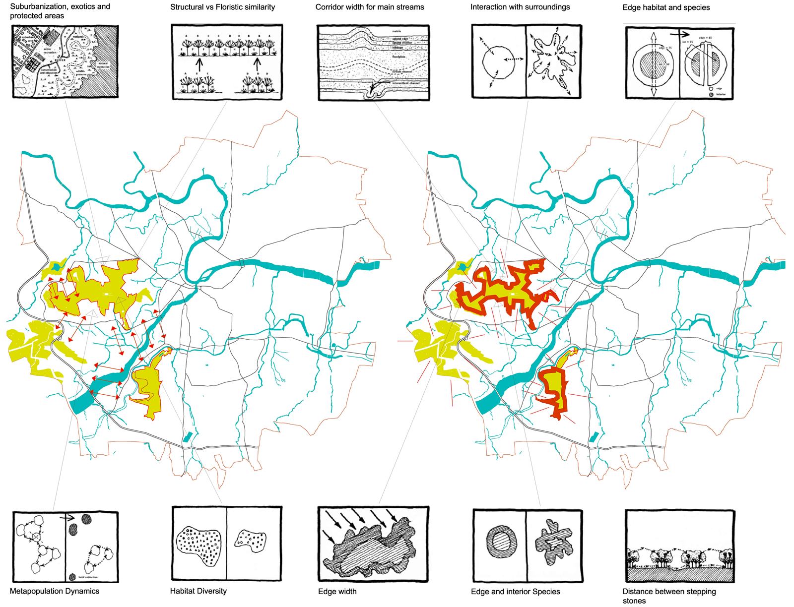Urban ecological infrastructure, image 21